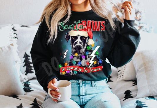SANTA PAWS 15 CREWNECK SWEATSHIRT
