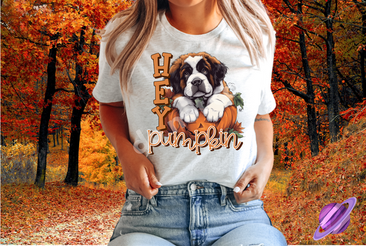 HEY PUMPKIN 2 TEE