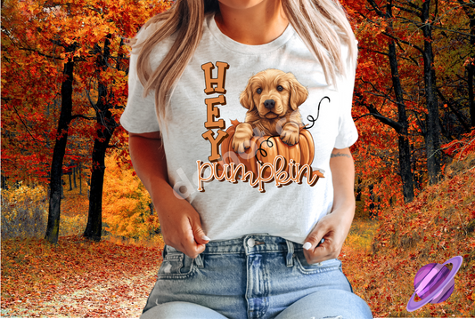 HEY PUMPKIN 4 TEE