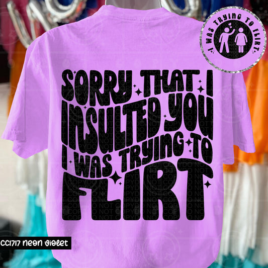 SORRY THAT I INSULTED YOU DOUBLE SIDED TEE