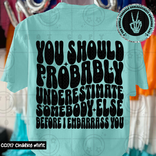 YOU SHOULD PROBABLY UNDERESTIMATE- DOUBLE SIDED TEE